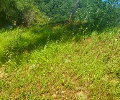 柳關(guān)欒盧鉛鋅礦|治理排土“瘡疤”，繪就綠色畫卷